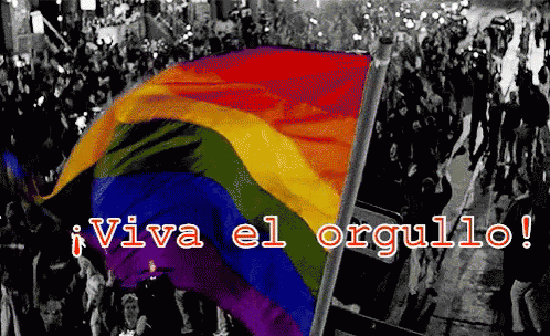 Manifestacion Por El Orgullo GIF - Orgullo Gay Bandera Manifestacion -  Discover &amp; Share GIFs