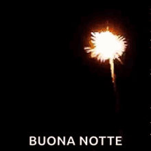 Fireworks Buona Notte GIF - Fireworks Buona Notte Goodnight GIFs