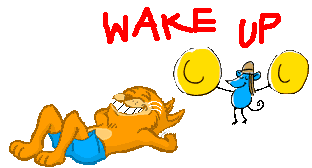 Wake Up Cat Sticker - Wake Up Cat Mouse Stickers