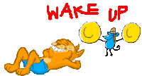 Wake Up Cat Sticker - Wake Up Cat Mouse Stickers