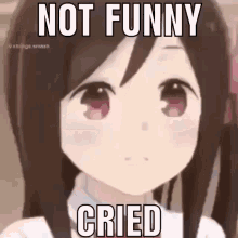 Cried Not Funny GIF