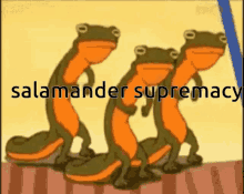 Salamander Salamander Supremacy GIF - Salamander Salamander Supremacy GIFs