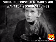 Shiba Inu Second Servings Shib GIF