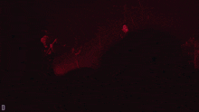 a man singing into a microphone in a dark room with the letter d visible