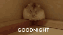 Goodnightbestie GIF - Goodnightbestie Goodnight GIFs