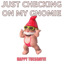 happy tuesday gnome dance just checking grooves
