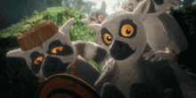 a group of lemurs are looking at the camera with one wearing a hat