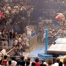 Shawn Michaels Wwe GIF - Shawn Michaels Wwe In Your House GIFs