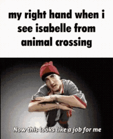 Eminem Animal Crossing GIF - Eminem Animal Crossing GIFs
