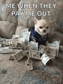 a chihuahua is laying on a pile of money with the caption me when they pay me out