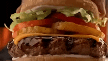Red Robin Burger GIF - Red Robin Burger Hamburger GIFs