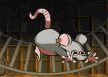 Mad Rat GIF - Mad Rat GIFs