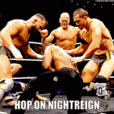 a group of wrestlers are fighting in a ring and the caption says hop on nightreign