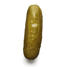 Pickle Dill With It GIF