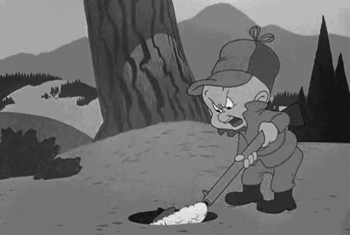 picture of elmer fudd hunting rabbits