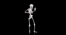 Hoje Eu Só Quero Dançar / Dança / Dançando / Esqueleto GIF - Skeleton Dance Party Hard GIFs