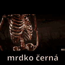 Mrdko Mrdkočerná GIF - Mrdko Mrdkočerná Skeleton Meme GIFs