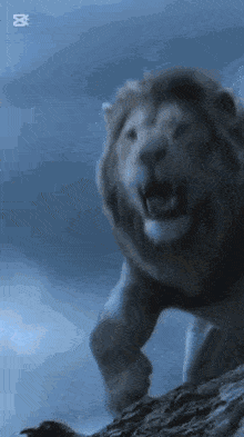 a lion with its mouth open is roaring in the dark