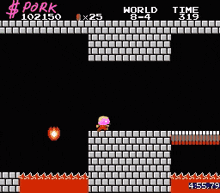 a screenshot of a video game with the word pork on the screen