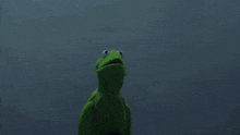 kermit the frog is standing next to a grim reaper .