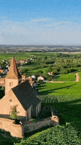 an aerial view of a church in the middle of a green field surrounded by vineyards .