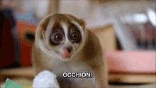 Occhi Teneri Occhi Dolci Occhioni Lemure Carino Divertente Animale GIF - Heart Eyes Eyes Lemur GIFs