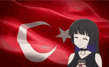 Turkey Turkey Flag Anime GIF