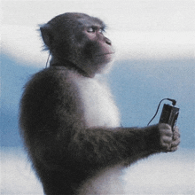 a monkey wearing headphones and holding a cassette tape
