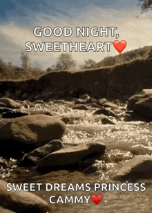 a picture of a river with the words good night sweetheart and sweet dreams princess cammy