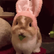 Bunny Easterbunny GIF - Bunny Easterbunny Rabbit GIFs