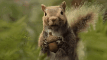 Juggnard Squirrel GIF - Juggnard Squirrel Squirrel Jugg GIFs