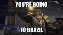 Anduin World Of Warcraft GIF - Anduin World Of Warcraft Going To Brazil GIFs