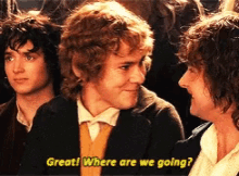 Lotr Merry GIF - Lotr Merry Pippin GIFs