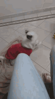 a blurry picture of a person 's feet and a dog in a santa outfit