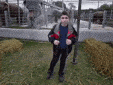 a man in a jacket is standing in front of a fence with elephants in the background
