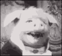 Pig Laugh GIF - Pig Laugh Funny GIFs