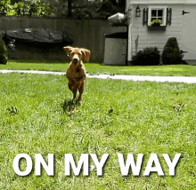 Omw Willow GIF - Omw Willow Roo GIFs