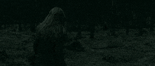 a woman is holding a wand in her hand in the woods .