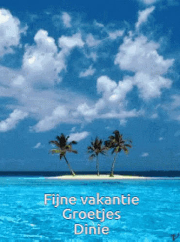 Vakantie Dinie GIF - Vakantie Dinie GIFs