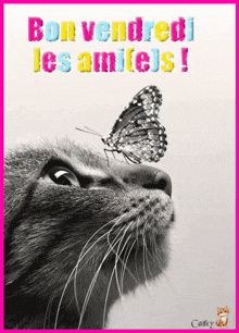 a black and white photo of a cat with a butterfly on its nose and the words bon vendredi les ami(e)s