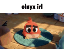 Olnyx Olnyx Irl GIF - Olnyx Olnyx Irl Olnyx Red GIFs
