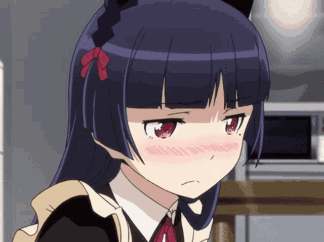 Cat Maid Close Up Original  Anime Amino