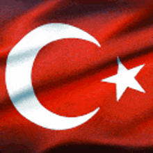 Türk Türk Bayrağı GIF