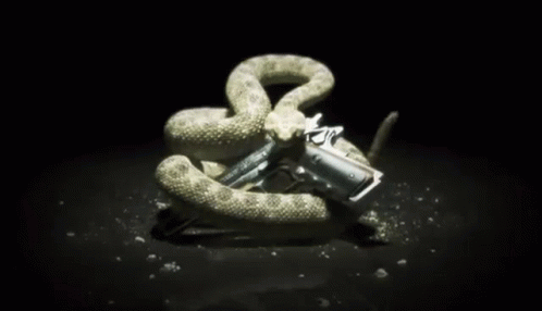 rattlesnake-rattlesnake-and-gun.gif