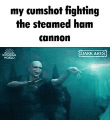 voldemort is fighting the steamed ham cannon in harry potter and the deathly hallows part 2 .