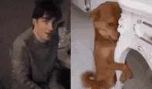 a man and a dog are standing next to each other in a bathroom