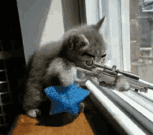 Cat Gun GIF