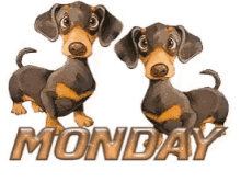Two Dogs Monday GIF