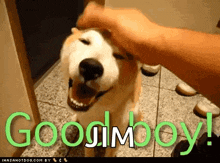 Good Boy Dog GIF - Good Boy Dog Pet GIFs