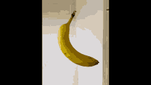Banana Spin GIF